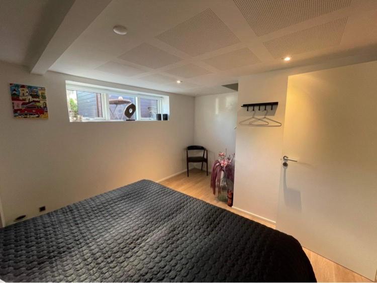 Nyistandsat Hojloftet Kaelderlejlighed Pa 70 M2 I Viborg Centrum, Med Plads Til 4 Personer المظهر الخارجي الصورة